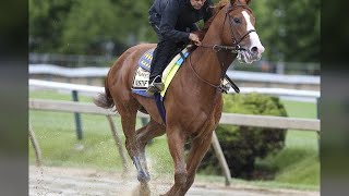 Which Preakness 2018 horses are the best mudders [upl. by Laerol204]