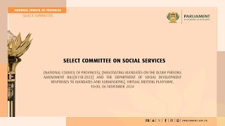 Select Committee on Social Services 06 November 2024 [upl. by Mafala]