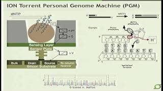 NextGeneration Sequencing Technologies  Elaine Mardis 2012 [upl. by Nitnert]