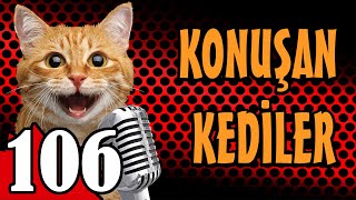 Konuşan Kediler 106  En Komik Kedi Videoları [upl. by Suidaht]