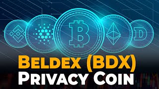 What is the Beldex BDX Privacy Coin [upl. by Ailegnave138]