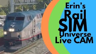 Roblox Rail Sim Universe PreRelease Live Rail Cam [upl. by Hibben79]