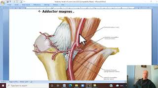 Musculoskeletal Module Anatomy of Lower Limb in Arabic 31  Femoral artery  part 1 [upl. by Rowena]