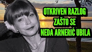 POSLE ČETIRI GODINE GODINE OTKRIVEN UZNEMIRUJUĆ RAZLOG ZAŠTO SE NEDA ARNERIĆ UBILAPROBLEM OČIGLEDAN [upl. by Arretal]