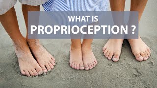 What is Proprioception [upl. by Viole858]