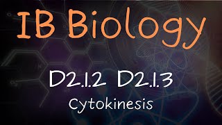 Cytokinesis  D212 D213 [upl. by Gregoire812]