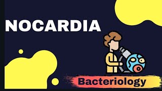 NOCARDIA  Microbiology [upl. by Atiruam]