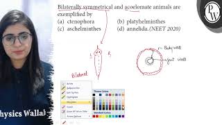 Bilaterally symmetrical and acoelomate animals are exemplified by P [upl. by Nurat]