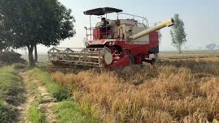 Swaraj 8200 Harvester New 2024 Model dhan ktai [upl. by Jeannine343]