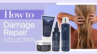 MONAT How to  MONAT Damage Repair Collection  Haircare [upl. by Llerrut]