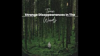 10 TRUE Strange Disappearances In The Woods Ambient ForestBird SoundsBlack Screen [upl. by Fredrika63]