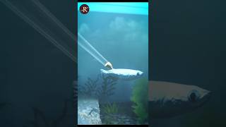 Shoot A Bullet Underwater 🤔science facts [upl. by Nylanna953]