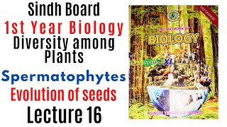 evolution of seeds  spermatophytes Diversity among plants  1st year biology Sindh text book board [upl. by Travus]