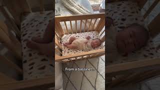 A bassinet crib and junior bed allinone 🤩 feat our Yuzu 8in1 Crib [upl. by Nocaj]