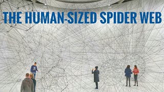 The HumanSized Spider Web [upl. by Adnalor]