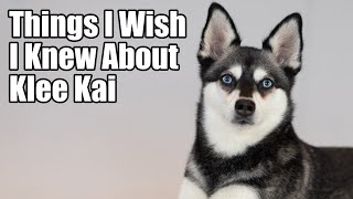 KLEE KAI THINGS I WISH I KNEW Before Getting an AKK [upl. by Nancey]