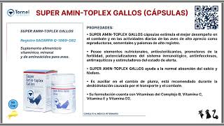 SUPER AMINTOPLEX GALLOS Cápsulas [upl. by Ilyk]