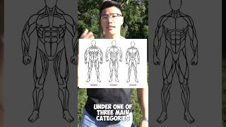 Ectomorph Mesomorph Endomorph musclegrowth fitness [upl. by Ygief150]