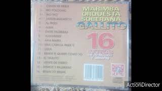 Cunen En Fiesta  Marimba Orquesta Gallito “La Soberana” Álbum 16 Éxitos De Ayer Hoy Y Siempre [upl. by Bellanca]