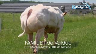 FAMILIER de Valduc [upl. by Rriocard77]