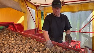 MATLANDSKAP SÖDRA DALARNA Roslunds Potatis [upl. by Oiceladni]