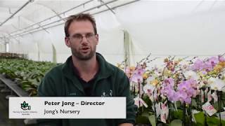 Case Study  Jongs Nursery [upl. by Lyon]