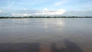 Irrawaddy dolphins in Kratie Cambodia [upl. by Lednar]