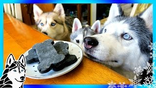 DIY DENTAL DOG TREATS  DIY Dog Treats  Snow Dogs Snacks 64  Dental Chews [upl. by Acinorav536]