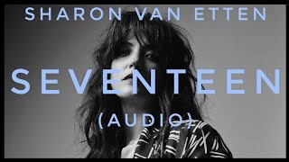 Sharon Van Etten  Seventeen Audio [upl. by Piegari]