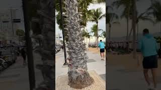 Jomtien Beach Pattaya 🇹🇭💙 Subscribe For More Reels [upl. by Loggins]