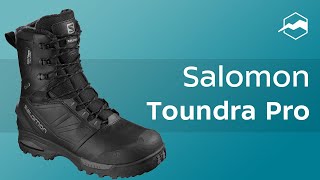 Ботинки Salomon Toundra Pro Обзор [upl. by Jori339]