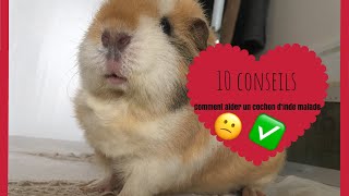 Conseils Comment aider un cochon dInde malade [upl. by Yelah403]