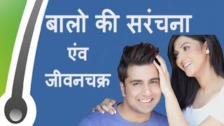 बालो की सरंचना एंव जीवनचक्र Hair Anatomy amp Life Cycle Hindi [upl. by Nnawaj]