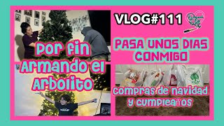 PONIENDO EL ARBOLITOHAUL DE DIFERENTES TIENDAS VLOG111 mividaenusa vlogdefamilia navidad [upl. by Beckett]