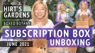 Hirts Boxed Botany  June 2021 Houseplant Subscription Unboxing [upl. by Aihsal]