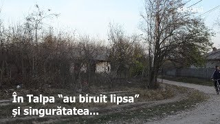 Stere Gulea quotŢara asta nu are decât o problemă să scape unul de puşcăriequot [upl. by Shipp]