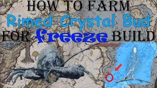 Best way to farm Rimed Crystal Bud for all your freeze build needs [upl. by Sherrod]