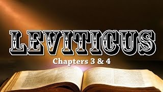 Leviticus Chapters 3 amp 4 Bible Study [upl. by Onairam156]