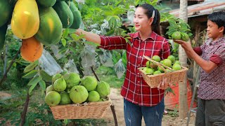 2 chefs collect sweet papaya enjoy braised pork Pick seedless guava and eat  Daily lifestyle [upl. by Sink]