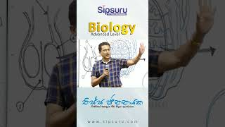 Tissa Jananayake  Biology [upl. by Ecinej688]