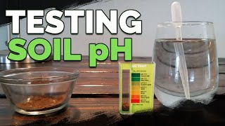 How to Test and Measure Your Soil pH at Home [upl. by Nosraep]