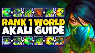 THE ULTIMATE SEASON 14 AKALI GUIDE  COMBOS RUNES BUILDS ALL MATCHUPS  League of Legends [upl. by Akieluz]