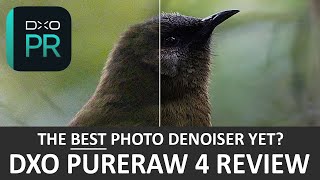 DxO PureRaw 4 Review  Just Hype [upl. by Heringer]