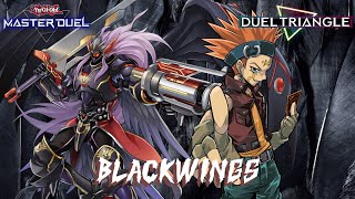 YuGiOh Master Duel  Blackwings  Duel Triangle [upl. by Renny170]