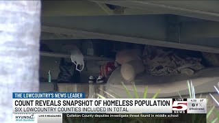 VIDEO Lowcountry count reveals snapshot of homeless population [upl. by Friederike]