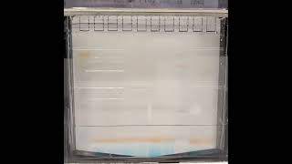 Sodium dodecylsulfate polyacrylamide gel electrophoresis SDSPAGE science biology dna protein [upl. by Sherourd362]