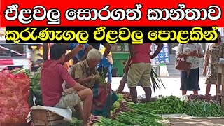 ඒළවලු සොරාගත් කාන්තාව  vegetable market in sri lanka  Street Food in sri lanka [upl. by Wyatan]