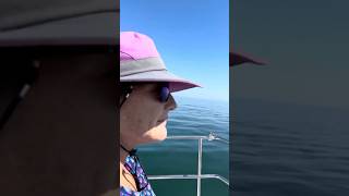 Cruising The golf of Mexico on a 29 foot ranger Tug [upl. by Yelserp]