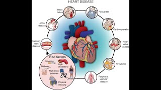 Introduction to signs and symptoms of cardiovascular system diseases [upl. by Gnaoh33]