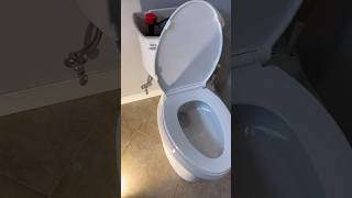 replacing a commode plumber plumbing [upl. by Naesar788]